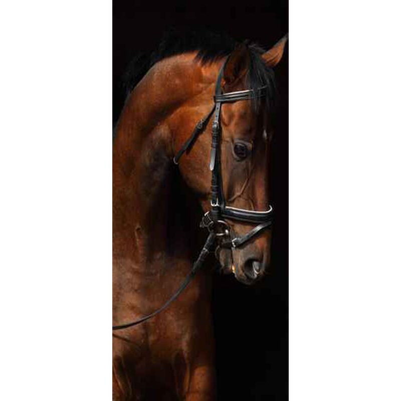 Poster de porte CHEVAL AU BOX 88 x 200 cm