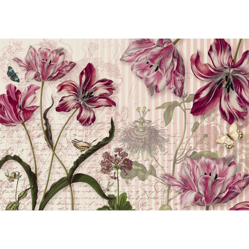 Poster extra large MERIAN 368 x 254 cm