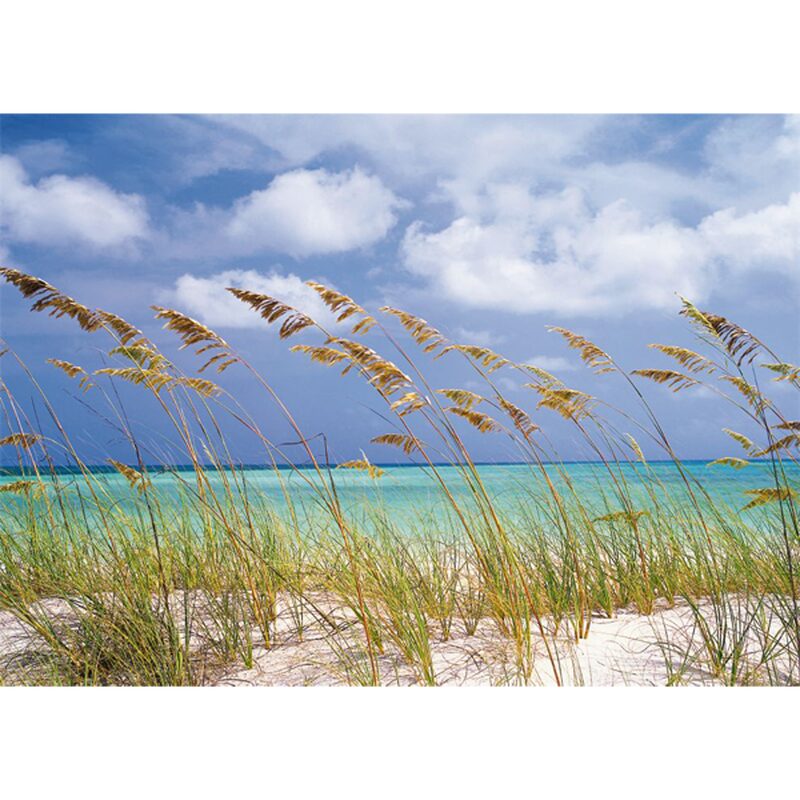 Poster extra large BRISE OCEANE 368 x 254 cm