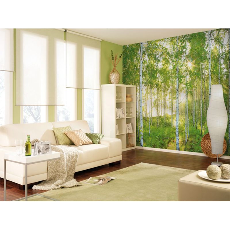 Poster extra large FORET DE BOULEAUX 368 x 254 cm