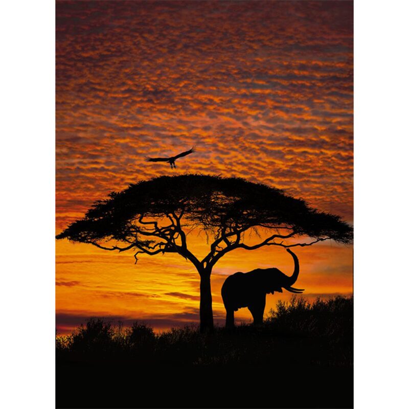 Poster extra large COUCHER DE SOLEIL AFRICAIN 194 x 270 cm