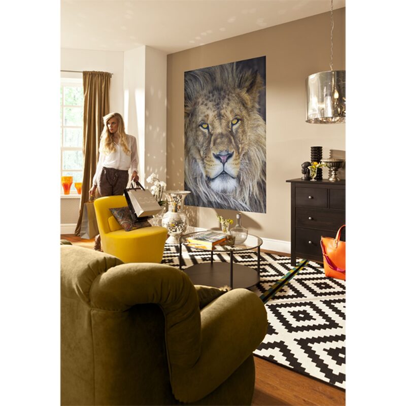 Poster extra large LION 127 x 184 cm