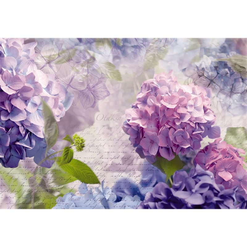 Poster extra large HORTENSIA 368 x 254 cm