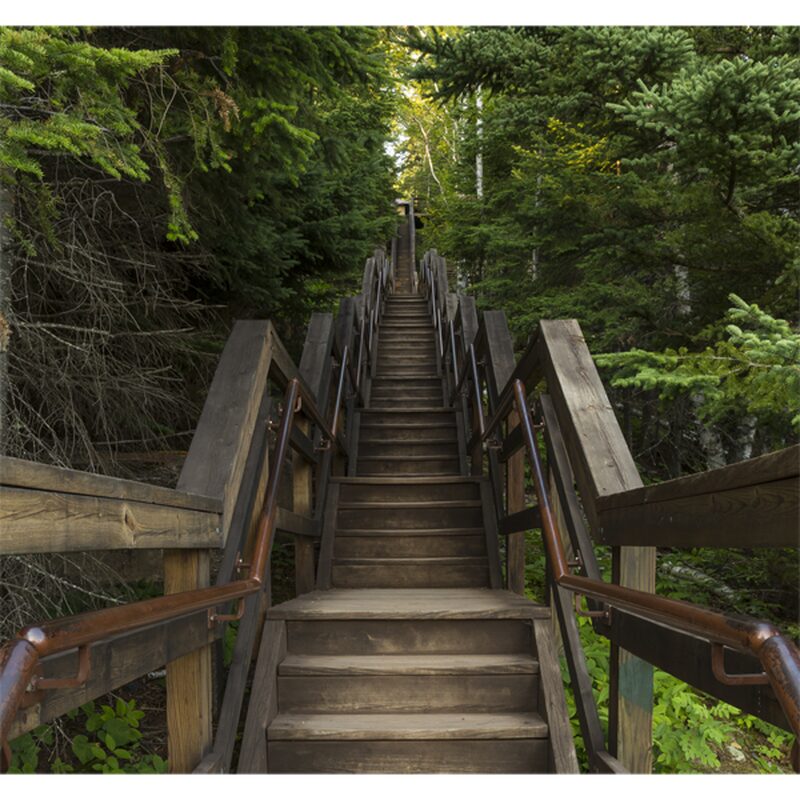 Poster extra large NATURAL STAIRS 280 x 300 cm