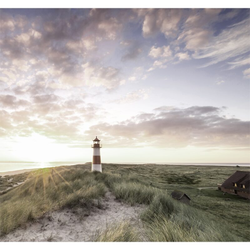 Poster extra large SAND DUNE 280 x 300 cm
