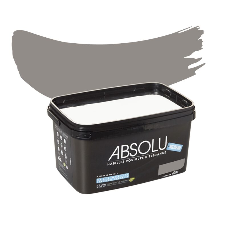 Peinture Multi-supports ABSOLU Acrylique truffe Mat 2,5 L
