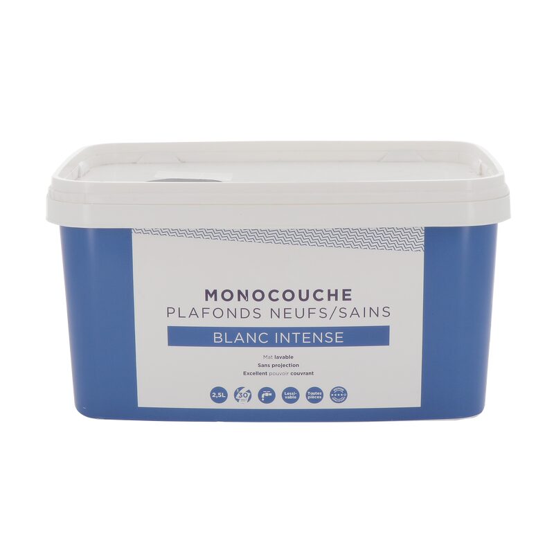 Peinture MONOCOUCHE PLAFONDS INTENSE Acrylique blanc Mat 2,5 L