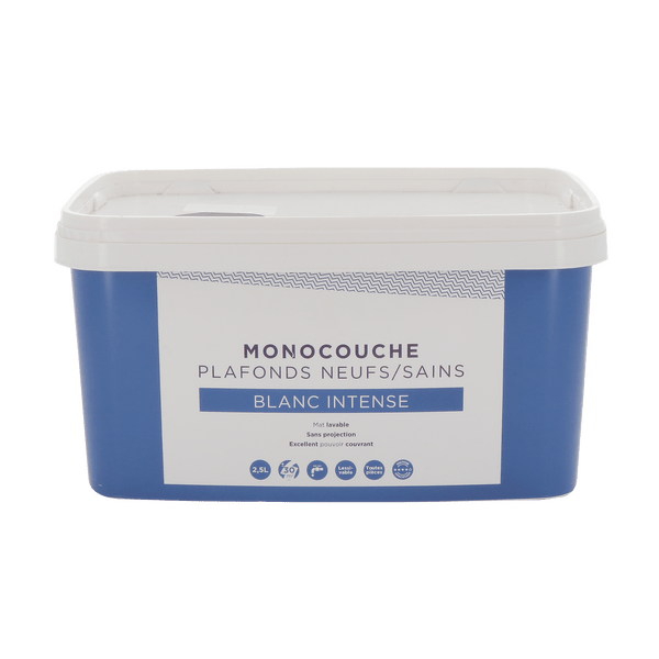 Peinture MONOCOUCHE PLAFONDS INTENSE Acrylique blanc Mat 2,5 L