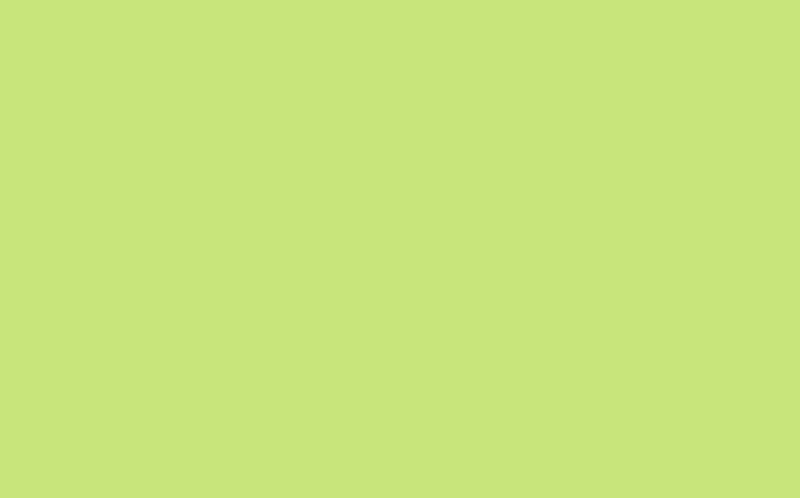 Peinture Multi-supports AMBIANCE Acrylique vert pastel Satiné 2,5 L