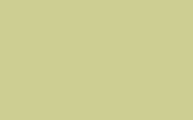 Peinture Multi-supports SAPHYR Alkyde printemps Satiné 2,5 L
