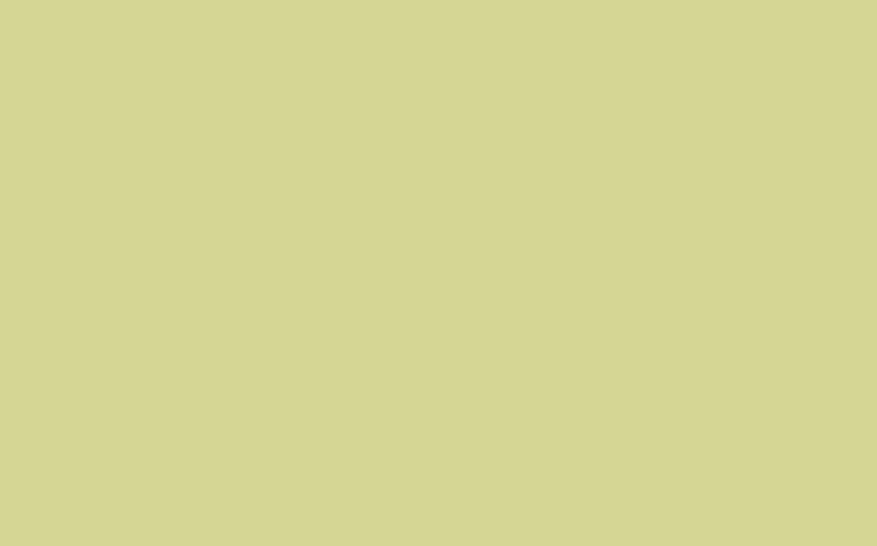 Peinture Multi-supports SAPHYR Alkyde bambou Satiné 2,5 L