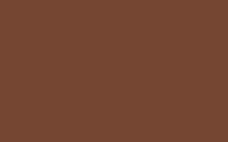 Peinture Multi-supports SAPHYR Alkyde ton bois Satiné 2,5 L