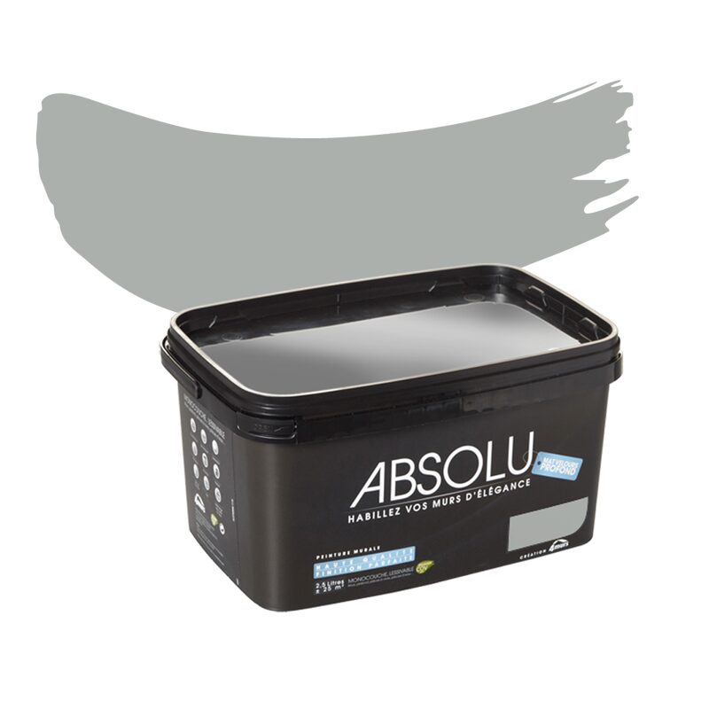 Peinture Multi-supports ABSOLU Acrylique titane Mat 2,5 L