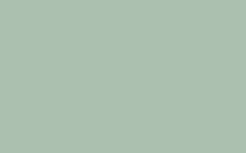 Peinture Multi-supports SAPHYR Alkyde vert bronze Satiné 2,5 L