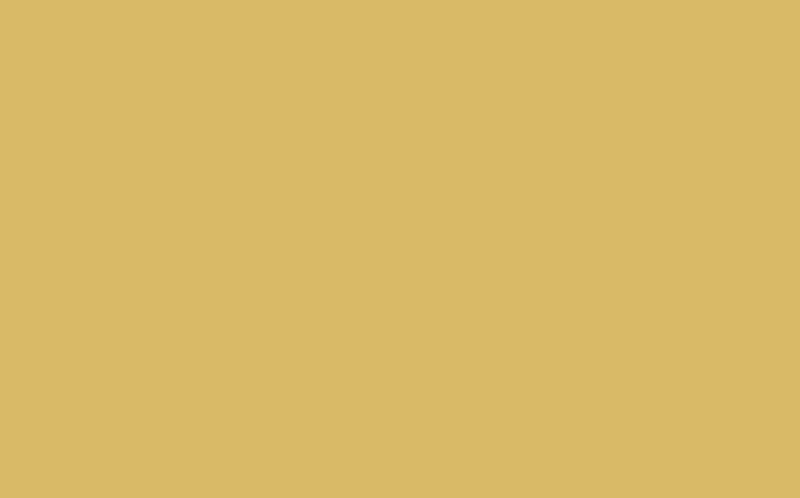 Peinture Multi-supports SAPHYR Alkyde jaune moutarde Satiné 2,5 L