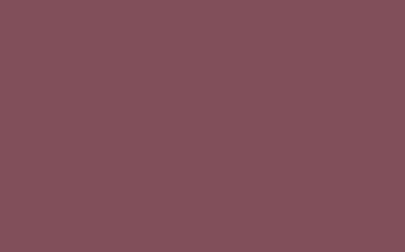 Peinture Multi-supports SAPHYR Alkyde marsala Satiné 2,5 L