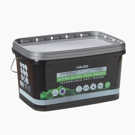 Peinture MURS ET PLAFONDS EXTRA BLANC Peinture blanc 5 L