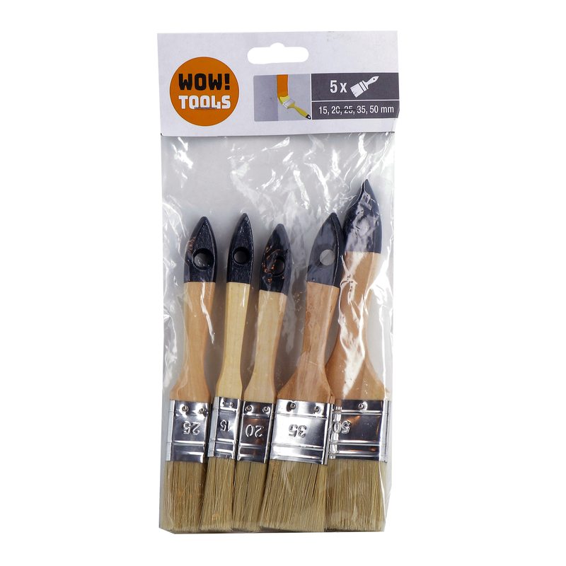 Lot de 5 pinceaux