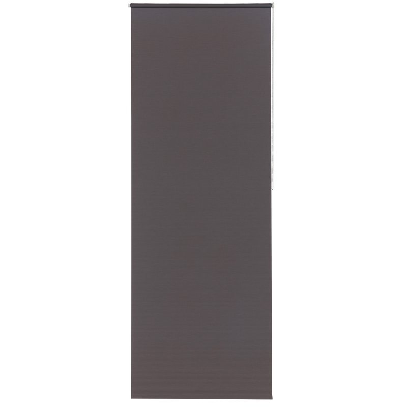 Store enrouleur EASY ROLL OCCULTANT coloris gris anthracite 67 x 190 cm