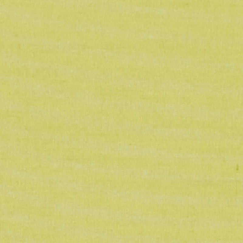 Store enrouleur EASY ROLL TAMISANT coloris vert fougère 87 x 170 cm