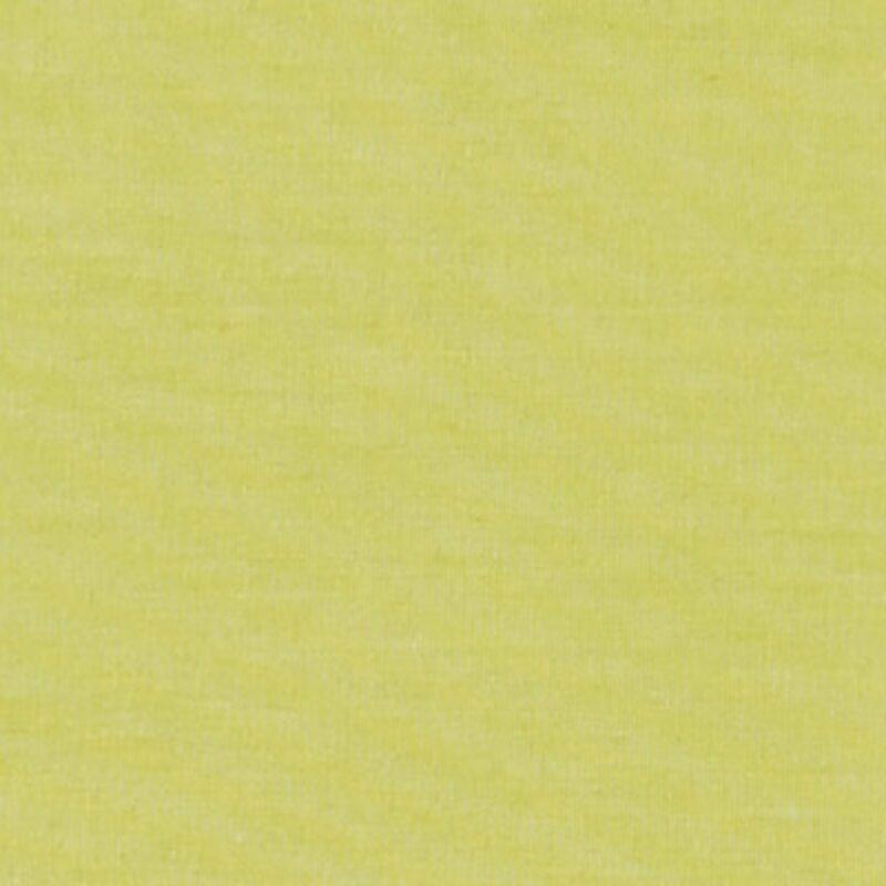 Store enrouleur EASY ROLL TAMISANT coloris vert fougère 67 x 190 cm