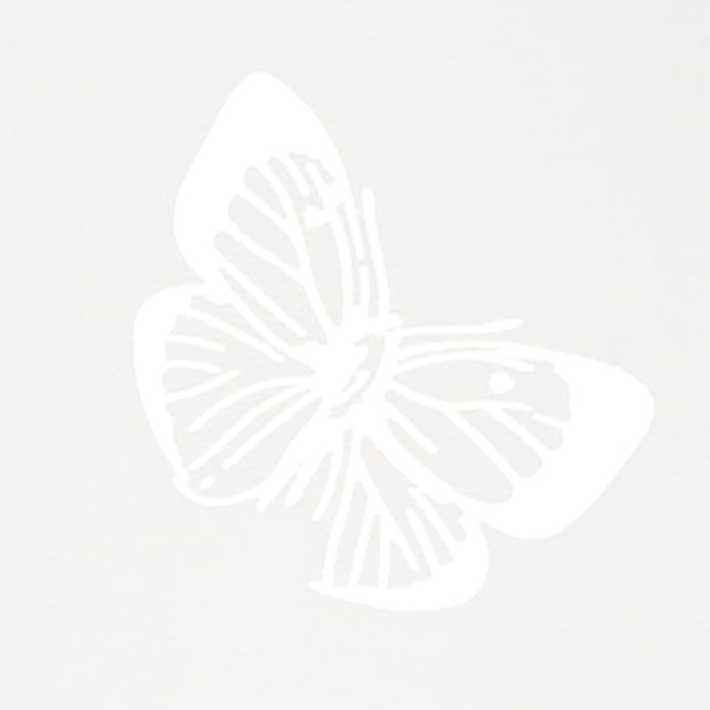 Vitrage FLOREST coloris blanc 60 x 120 cm