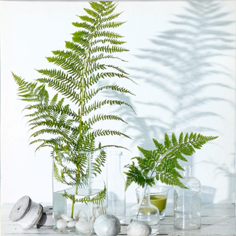 Miroir SET MIROIR CHAMPETRE 60 x 60 cm