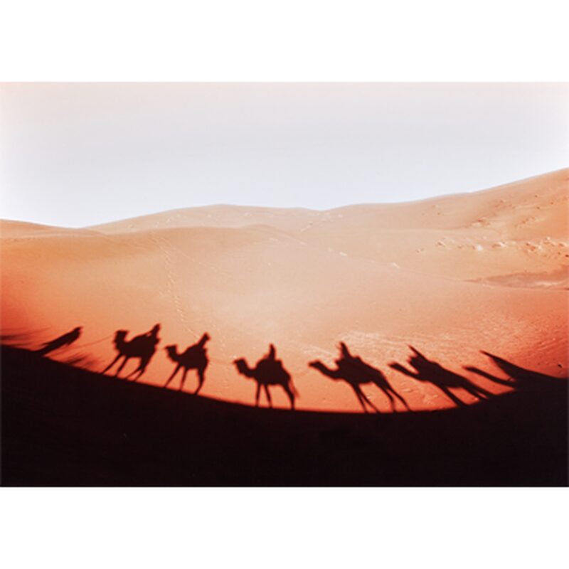 Toile imprimée TOUAREG 70 x 50 cm