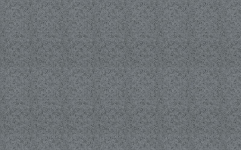 Papier peint intissé ESSENTIELLE coloris gris cendré