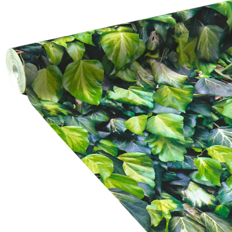 Papier peint intissé LIERRE coloris vert mousse