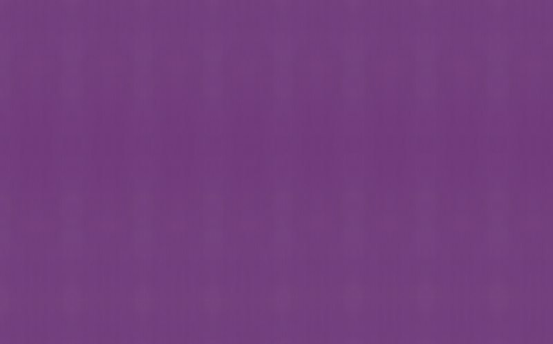 Papier peint intissé CRAZY CUIR coloris violet