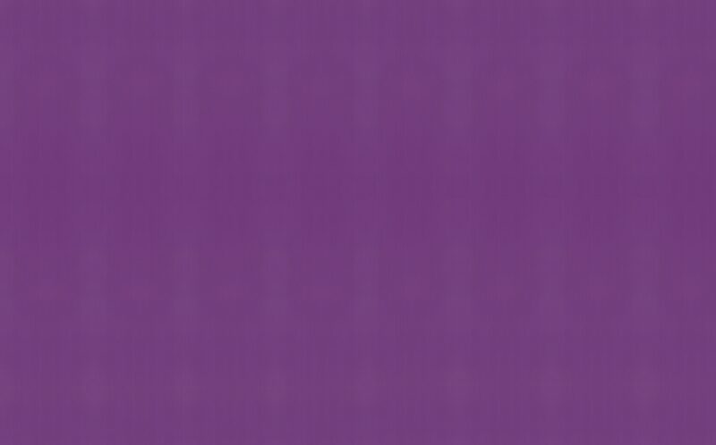 Papier peint intissé CRAZY CUIR coloris violet