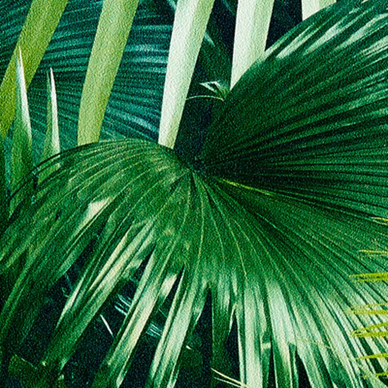 Papier peint intissé TROPICAL FOREST coloris vert bambou