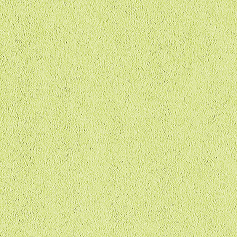 Papier peint intissé NEW INFINITY coloris vert pistache