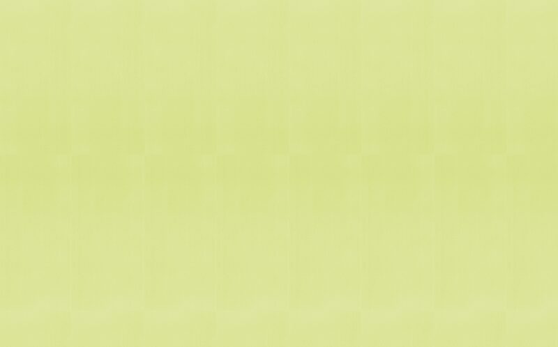 Papier peint intissé NEW INFINITY coloris vert pistache