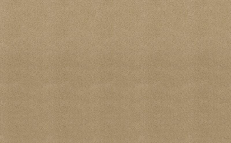 Papier peint intissé TITANIUM coloris praline