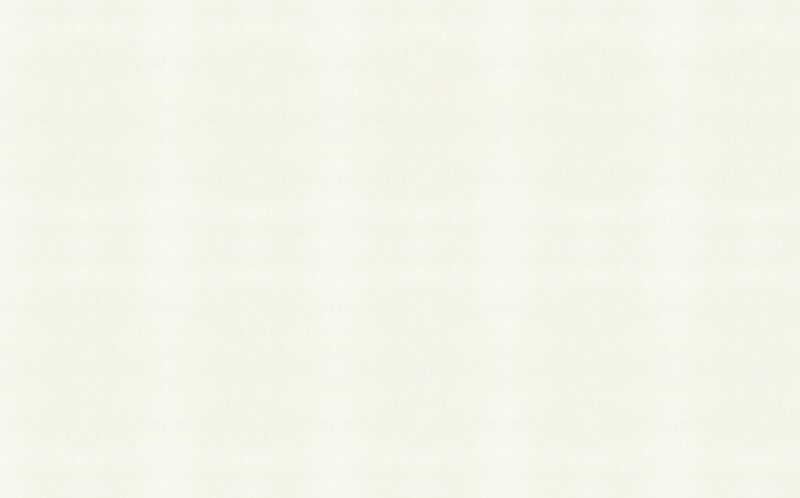 Papier peint intissé TITANIUM coloris blanc