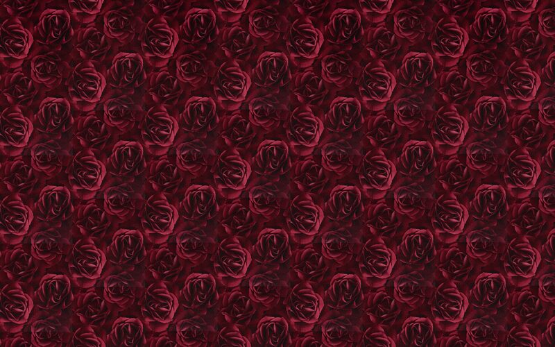 Papier peint intissé ROSES XXL coloris rouge carmin