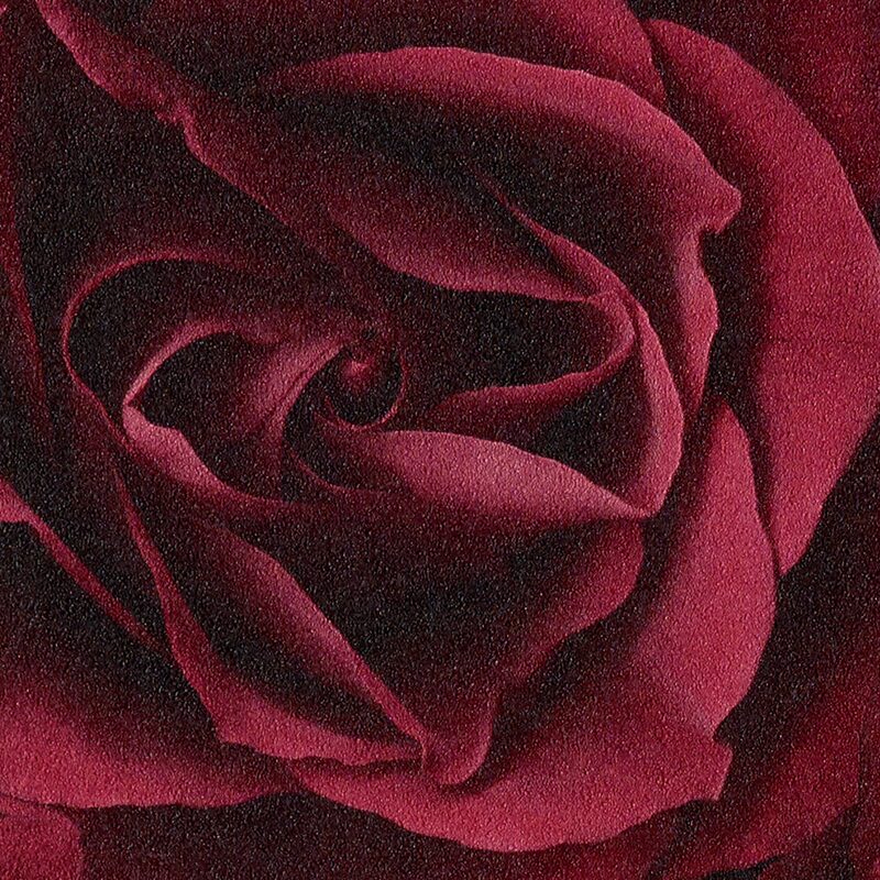 Papier peint intissé ROSES XXL coloris rouge carmin