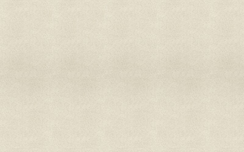 Papier peint intissé TITANIUM coloris sable beige