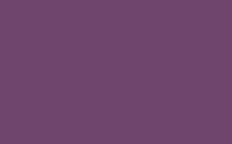 Peinture Multi-supports SAPHYR Alkyde purple Satiné 2,5 L