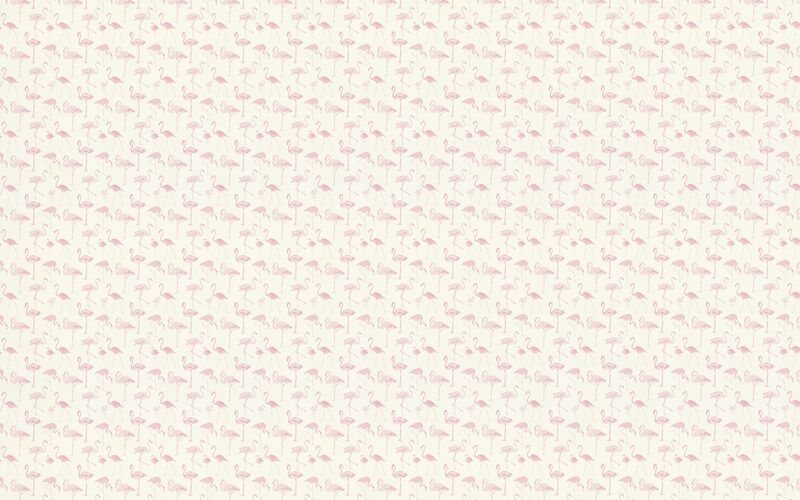 Papier peint intissé FLAMINGO coloris rose flamand