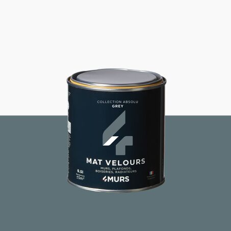 Absolu Peinture Finition Peinture grey Mat 0,5 L