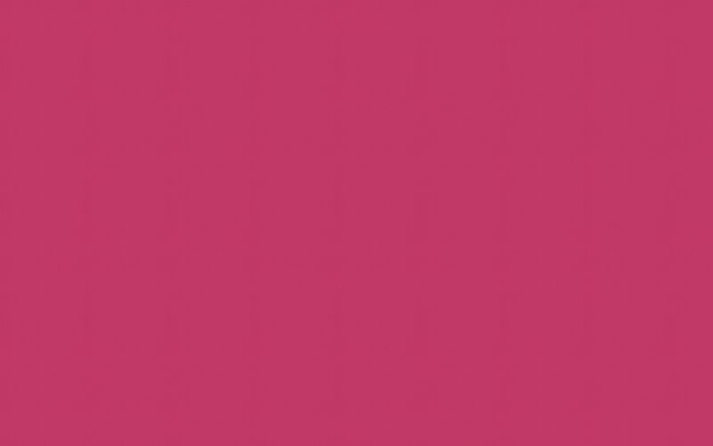 Papier peint intissé PALAZZO coloris framboise