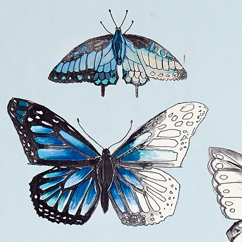 Papier peint BUTTERFLIES DUCK EGG coloris bleu aquarelle