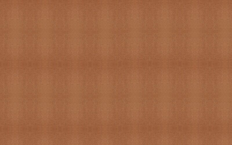 Papier peint intissé TRANQUIL COPPER coloris cuivre