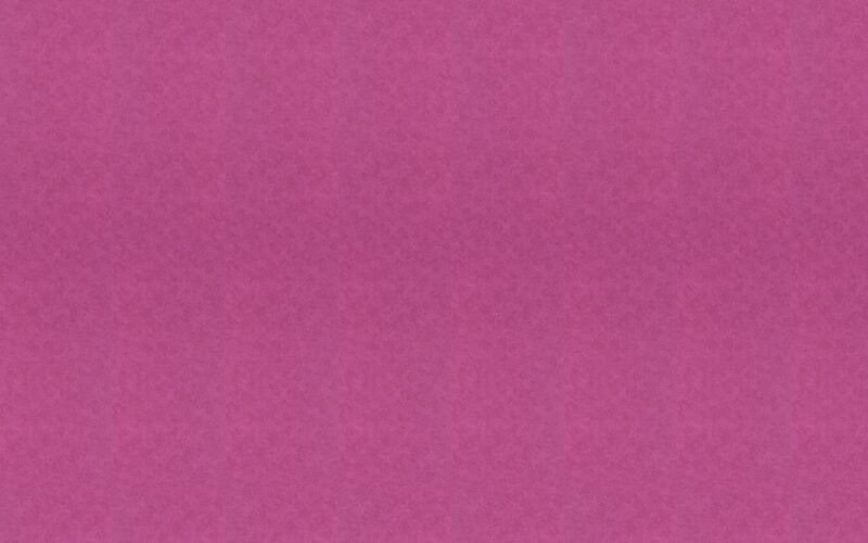 Papier peint intissé ESSENTIELLE coloris framboise