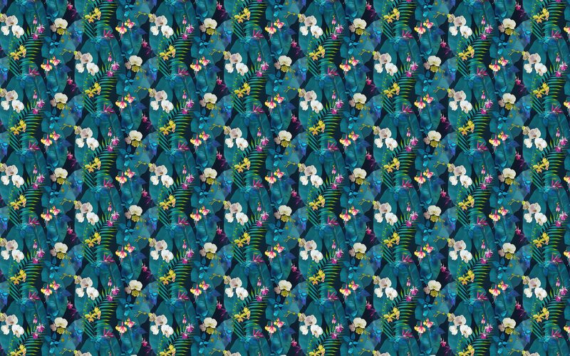 Papier peint PINDORMA coloris multicolore