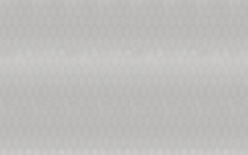 Papier peint intissé DALILA coloris Gris clair