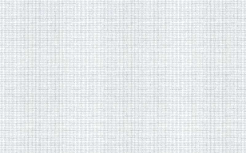 Papier peint vinyle MILLENIUM coloris blanc
